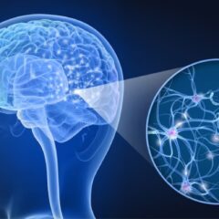 Cuál es la enfermedad cerebral que dijo tener el tirador de Nueva York que mató a 4 personas
