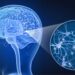 Cuál es la enfermedad cerebral que dijo tener el tirador de Nueva York que mató a 4 personas