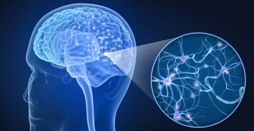 Cuál es la enfermedad cerebral que dijo tener el tirador de Nueva York que mató a 4 personas