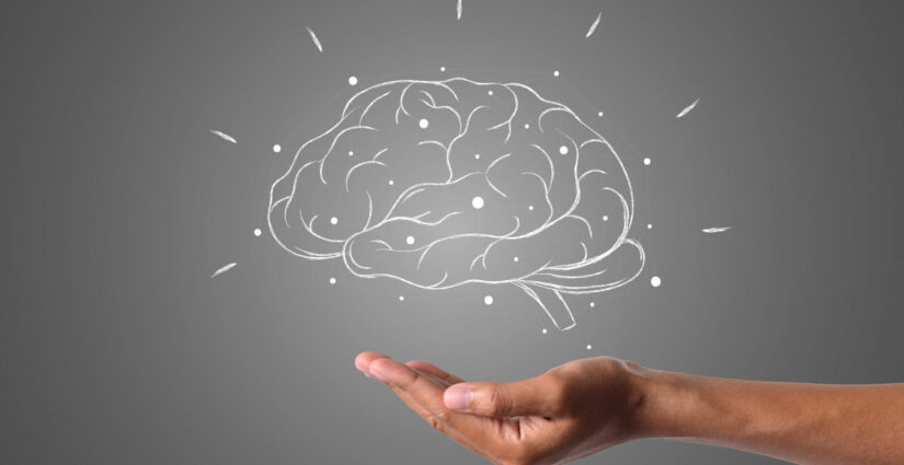 Día Mundial del Cerebro: tu cerebro decide tu vida, a cuidarlo se aprende